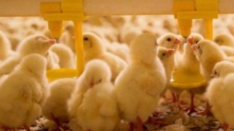 Công thức tính công A: Cầm vật