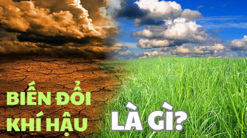 Biến đổi khí hậu ảnh hưởng toàn cầu