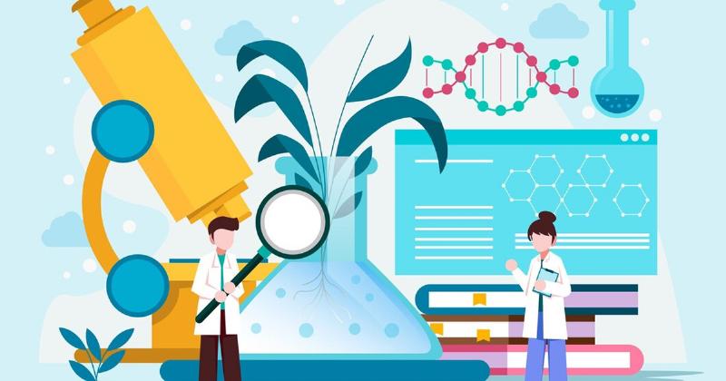 Hình ảnh minh họa các phương pháp nghiên cứu định lượng như khảo sát trực tuyến, phân tích dữ liệu thống kê