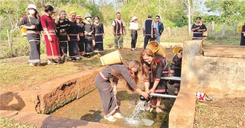 Cây cổ thụ vươn mình tìm nước, biểu tượng sự sống phụ thuộc vào nguồn nước trên cạn