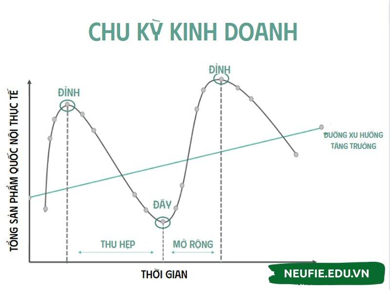 Biểu đồ minh họa các giai đoạn chu kỳ kinh doanh và ảnh hưởng đến doanh nghiệp