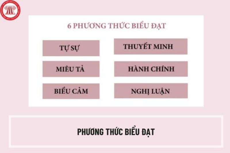 Đặc điểm nhận diện các phương thức biểu đạt phổ biến qua ví dụ minh họa
