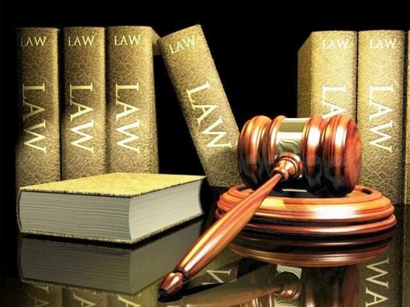 Minh họa khái niệm năng lực pháp luật, phân biệt cá nhân và pháp nhân với quyền và nghĩa vụ.