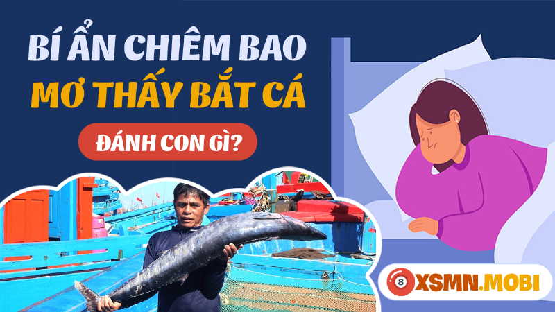 Mơ thấy bắt được nhiều cá trong ao