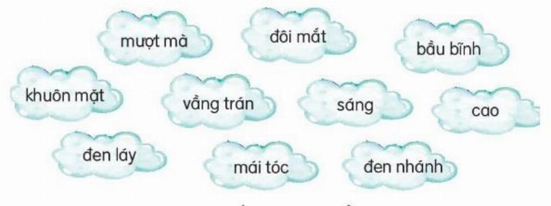 Mo ta dac diem cua su vat, con nguoi bang tu chi dac diem trong tieng Viet