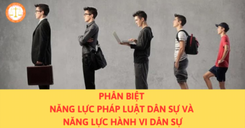 So sánh trực quan sự khác biệt giữa năng lực pháp luật và năng lực hành vi dân sự.