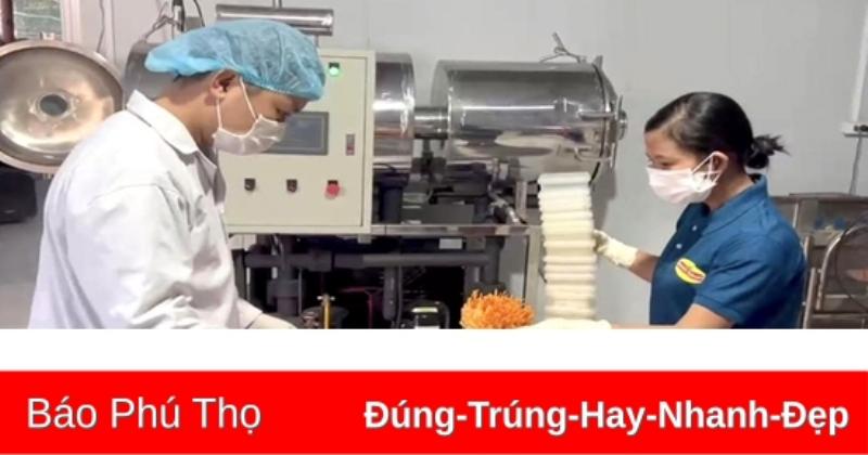 Áp dụng công nghệ cao nâng cao hiệu quả sử dụng đất trồng ở đồng bằng Việt Nam