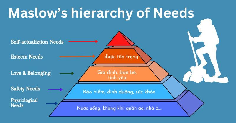 Một biểu đồ cây phân nhánh minh họa các ý nghĩa khác nhau của từ "đối tượng" trong tiếng Việt và các bản dịch tiếng Anh tương ứng theo từng ngữ cảnh (grammar, business, tech, etc.), giúp người đọc hình dung cách chọn từ phù hợp cho câu hỏi đối tượng tiếng anh là gì.