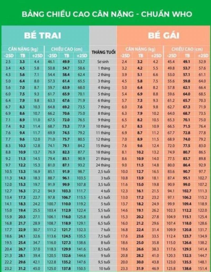 Biểu đồ đo lường tốc độ tăng trưởng doanh nghiệp bằng công sai, thể hiện sự ổn định