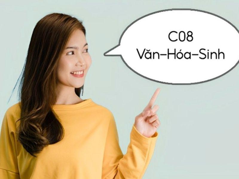 Lua chon to hop C08 va co hoi nghe nghiep, sinh vien C08 va cac con duong phat trien