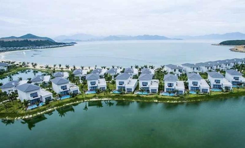 Hình ảnh minh họa tương lai của rừng với sự phát triển bền vững, vai trò của rừng đối với con người trong một thế giới cân bằng.